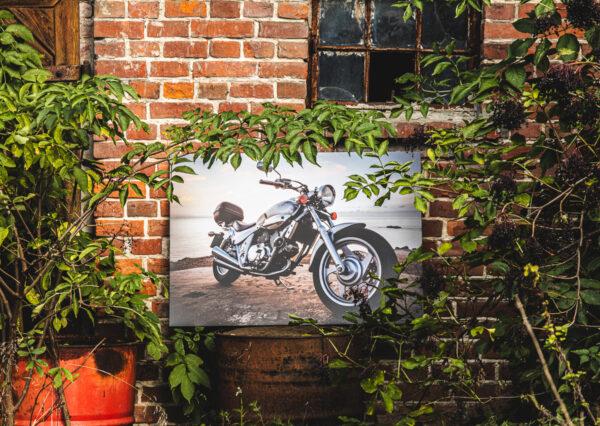 Obraz - Sesja obrazu w plenerze