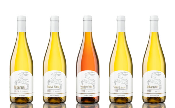 Wino - MIX 2023 Butelki wina