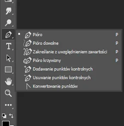 Skrót klawiaturowy P