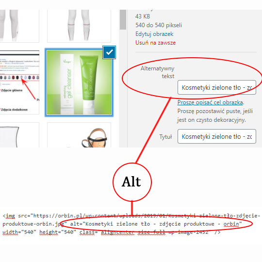 Atrybut-Alt-na-zdjeciu